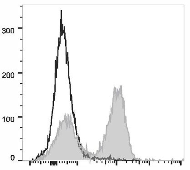 PerCP/Cyanine5.5 Anti-Rat CD3 Antibody [G4.18] (AGEL2461)