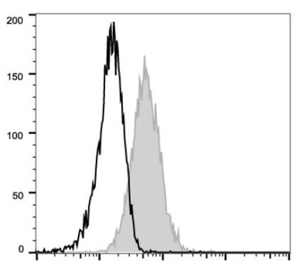 PE Anti-Mouse CD105 Antibody [MJ7/18] (AGEL2471)