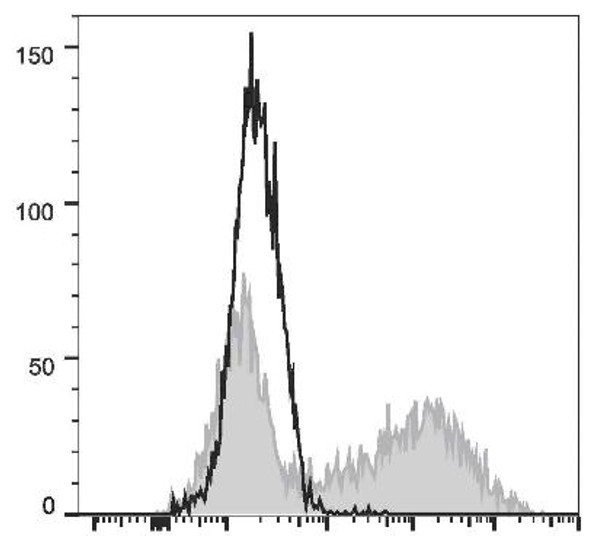 GenieFluor 647 Anti-Mouse IL-17A Antibody [TC11-18H10.1] (AGEL2756)