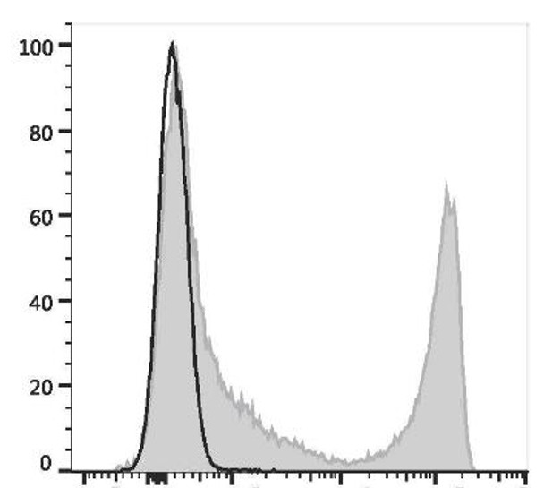 APC Anti-Mouse CD90 Antibody [M5/49.4.1] (AGEL3034)