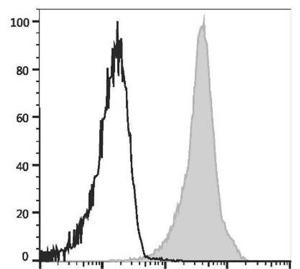 GenieFluor Violet 450 Anti-Rat CD45 Antibody [OX-1] (AGEL3036)