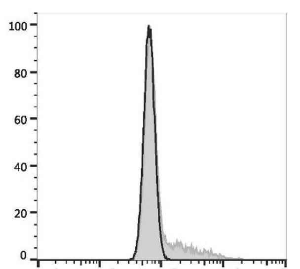 PE/Cyanine7 Anti-Mouse IL-17A Antibody [17F3] (AGEL3105)