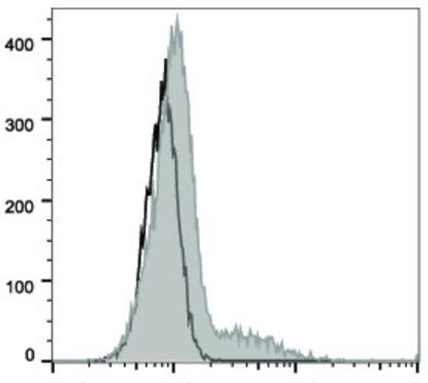 FITC Anti-Human CD74 Antibody [LN2] (AGEL2167)