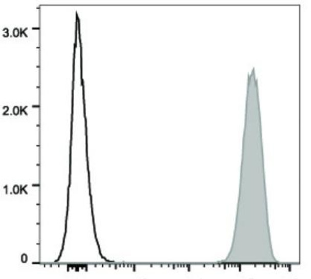 PE/Cyanine5 Anti-Human CD9 Antibody [HI9a] (AGEL2173)