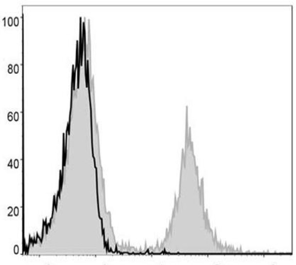 PE Anti-Mouse CD4 Antibody [GK1.5] (AGEL2195)