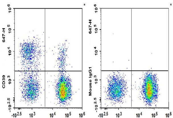 GenieFluor 647 Anti-Human CD39 Antibody [A1] (AGEL2295)