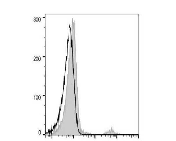 FITC Anti-Human CD20 Antibody [BCA/B20] (AGEL2812)