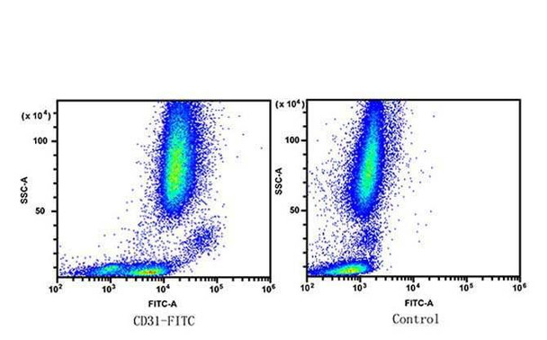 FITC Anti-Human CD31 Antibody [158-2B3] (AGEL2822)