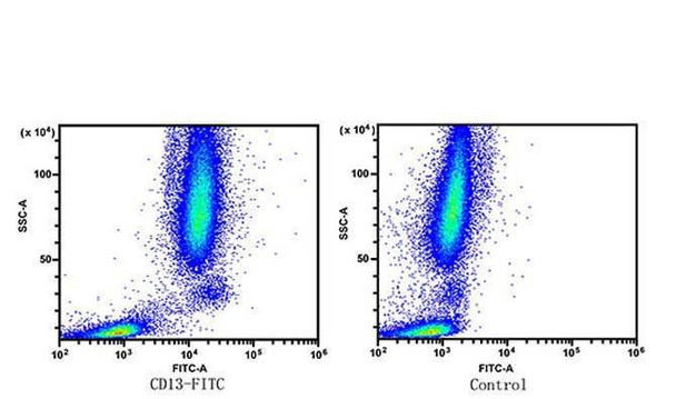 FITC Anti-Human CD13 Antibody [B-F10] (AGEL2840)