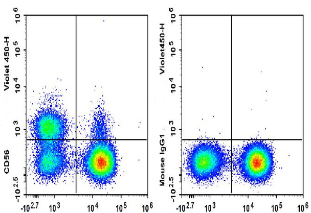 GenieFluor Violet 450 Anti-Human CD56 Antibody [5.1H11] (AGEL3047)