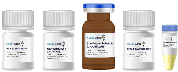 Dual Luciferase Reporter Assay Kit (MORV0010) Dual Luciferase Reporter Assay Kit (MORV0010)