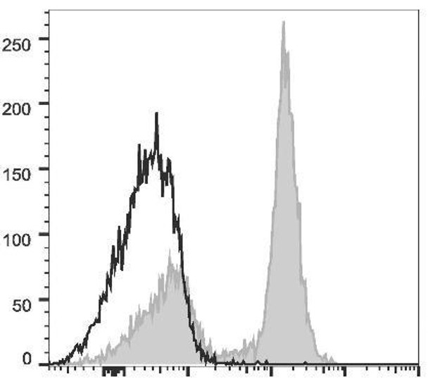 PE Anti-Mouse CD16/32 Antibody [2.4G2] (AGEL0588)