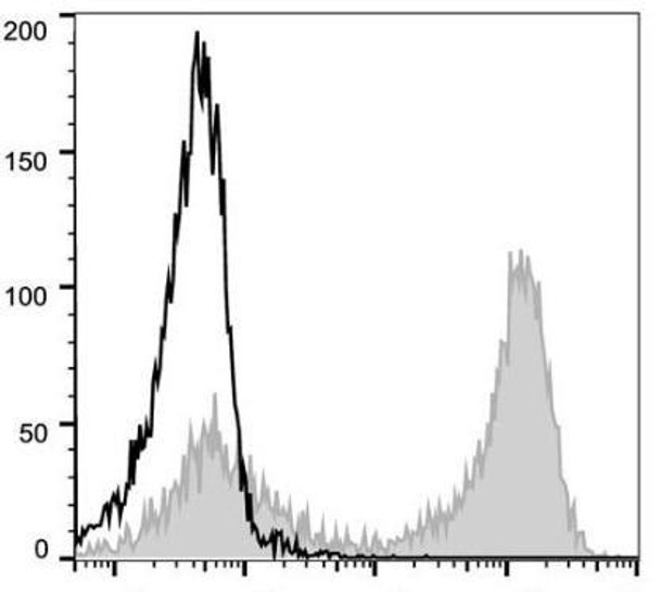 PE Anti-Mouse CD90.2 Antibody [30H12] (AGEL1213)