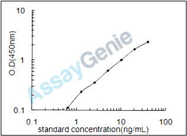 Rat Cyclic AMP-dependent transcription factor ATF-2 (Atf2) ELISA Kit (RTEB1600)