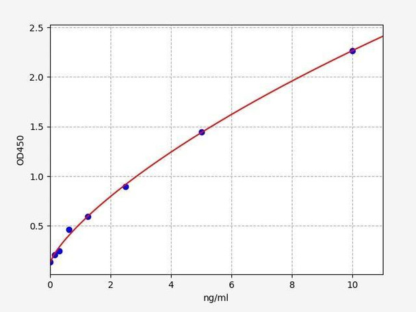 Rat PCK2 (Phosphoenolpyruvate Carboxykinase 2, Mitochondrial) ELISA Kit (RTFI01264)