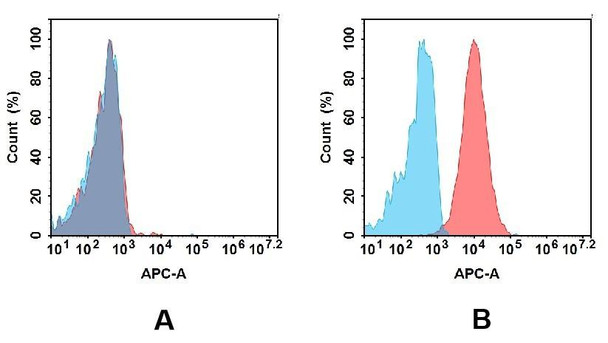Anti-CD93 (Biosimilar) mAb (HDBS0158)