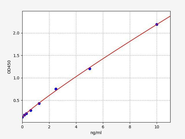 Human ERG (Transcriptional regulator ERG) ELISA Kit (AEFI01107)
