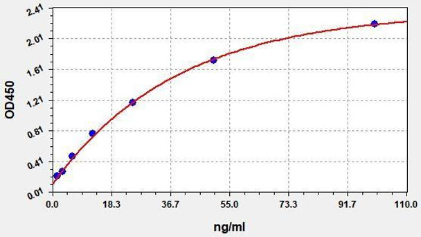 Porcine IgG (Immunoglobulin G) ELISA Kit (AEFI01244)