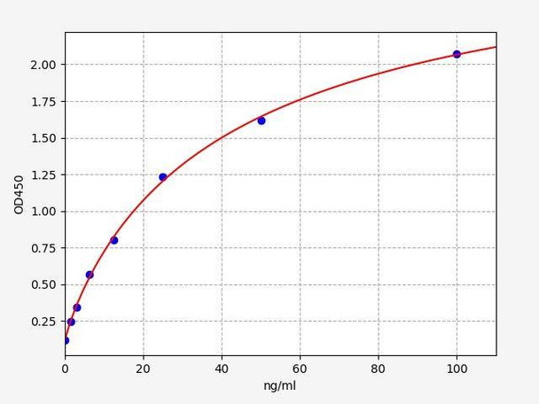 Rabbit NAGase (N-Acetyl Beta-D-Glucosaminidase) ELISA Kit (AEFI01289)