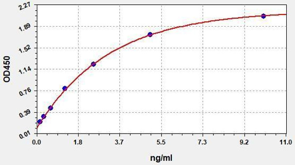 Human MAP1LC3B ColorStep ELISA Kit (AEFI01869)