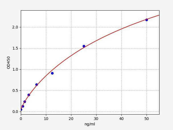 Rat DBH (Dopamine beta-hydroxylase) ColorStep ELISA Kit (AEFI01993)