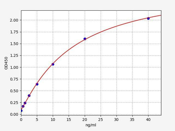 Rat Elastin ColorStep ELISA Kit (AEFI02139)