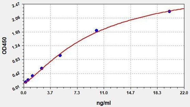 Human CREB (Cyclic AMP Response Element Binding Protein) ColorStep ELISA Kit (AEFI02682)