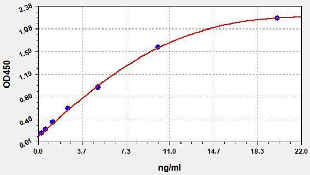 Rat MMP-13 ColorStep ELISA Kit (AEFI03313)
