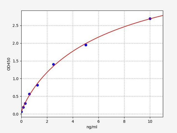 Rat MAP2 ColorStep ELISA Kit (AEFI03491)