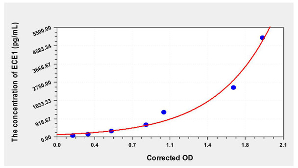 Rat ECE1 (Endothelin Converting Enzyme 1) ELISA Kit (AEKE00028)