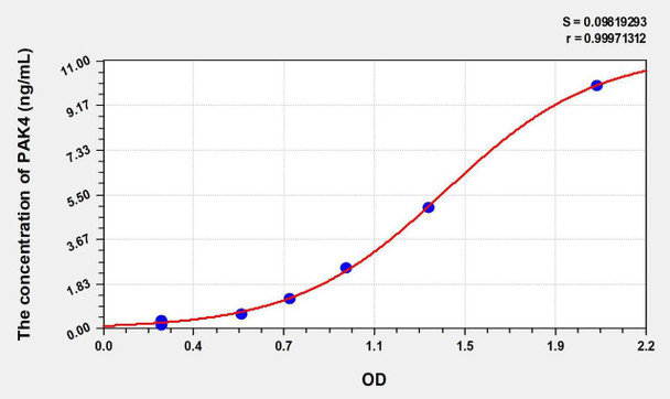 Human PAK4 (p21 Protein Activated Kinase 4) ELISA Kit (AEKE00983)
