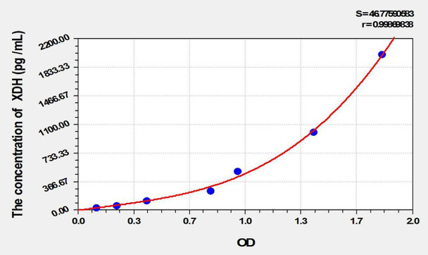 Mouse XDH (Xanthine Dehydrogenase) ELISA Kit (AEKE01835)