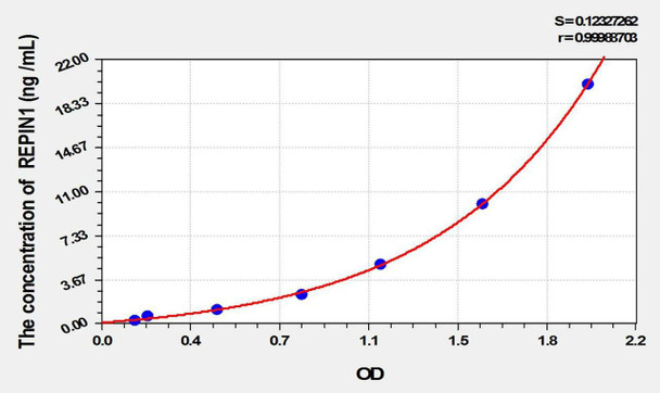 Mouse REPIN1 (Replication Initiator 1) ELISA Kit (AEKE01851)