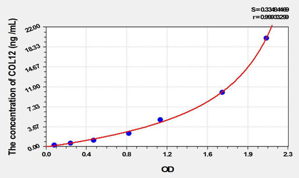 Mouse COL12 (Collagen Type XII) ELISA Kit (AEKE01859)