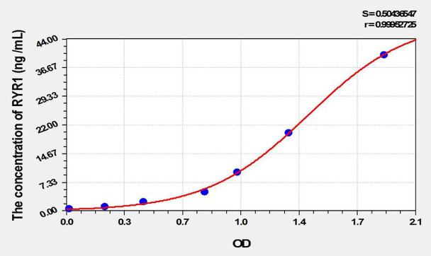 Rat RYR1 (Ryanodine Receptor 1, Skeletal) ELISA Kit (AEKE01890)