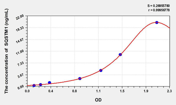 Rat SQSTM1 (Sequestosome 1) ELISA Kit (AEKE02734)