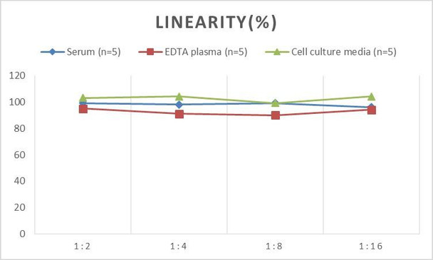Porcine IL-6 (Interleukin 6) ELISA Kit (AEES00762)