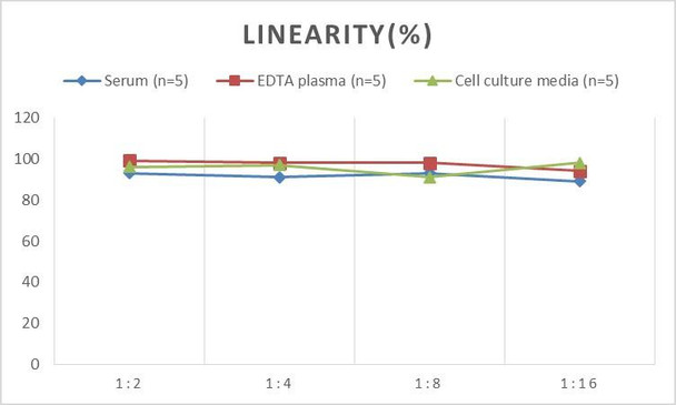 Porcine IL-12 p40 (Interleukin 12 p40) ELISA Kit (AEES00767)
