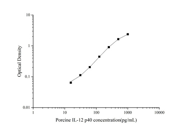 Porcine IL-12 p40 (Interleukin 12 p40) ELISA Kit (AEES00767)