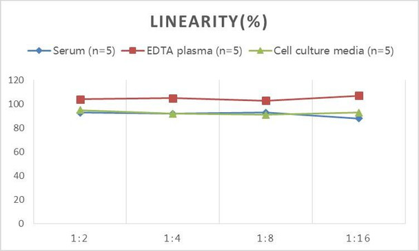 Monkey D2D (D-Dimer) ELISA Kit (AEES00812)