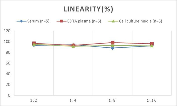 Human PPY (Pancreatic polypeptide) ELISA kit (AEES00827)