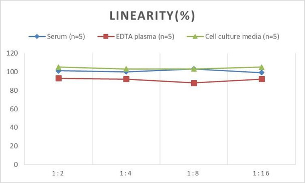 Human IL-16 (Interleukin 16) ELISA Kit (AEES00845)