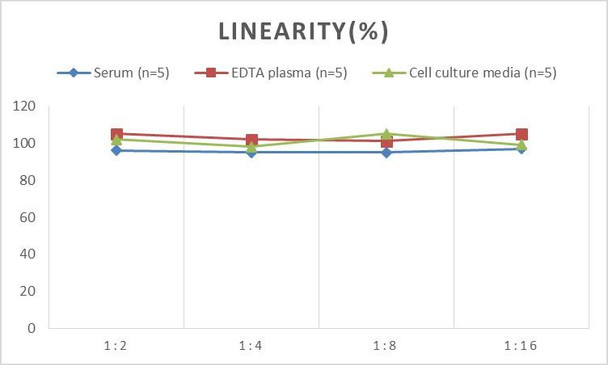Human FTL (Ferritin, Light Polypeptide) ELISA Kit (AEES00854)