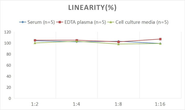 Monkey C1q (Complement 1q) ELISA Kit (AEES01941)