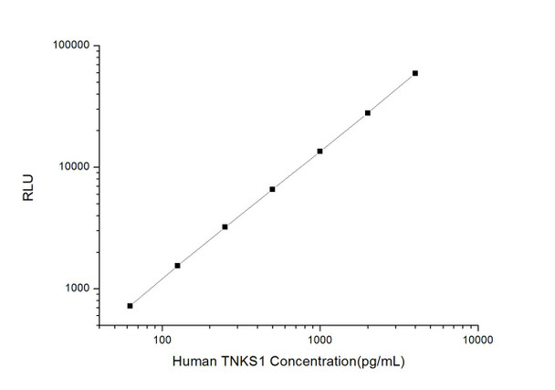 Human TNKS1 (Tankyrase 1) CLIA Kit (AEES03355)