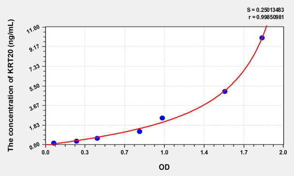 Human KRT20 (Keratin 20) ELISA Kit (AEKE06102)