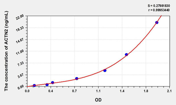 Human ACTN2 (Actinin Alpha 2) ELISA (Small Sample Volume) (AEKE06902)