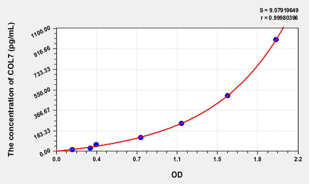 Human COL7 (Collagen Type VII) ELISA (Small Sample Volume) (AEKE07396)