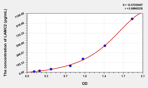 Human LAMC2 (Laminin Gamma 2) ELISA (Small Sample Volume) (AEKE07401)