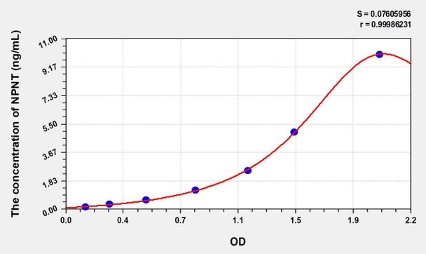 Human NPNT (Nephronectin) ELISA Kit (AEKE07431)
